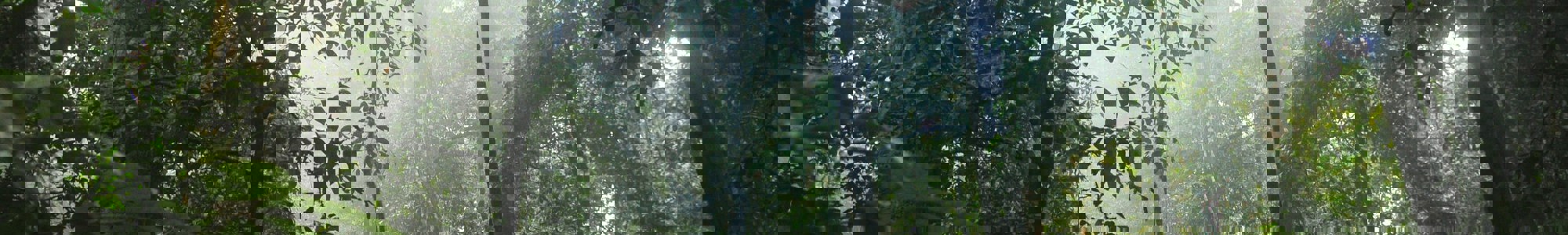 Crystal Mirallegro C6gmjauwmbu Unsplash